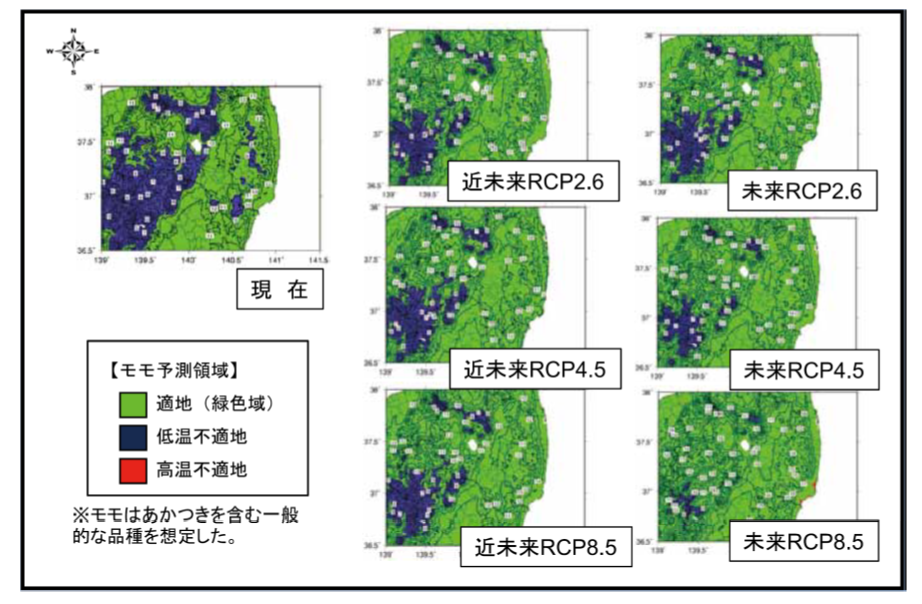 31　福島県の影響予測結果一覧（上）とモモの栽培適地の予測結果（下）