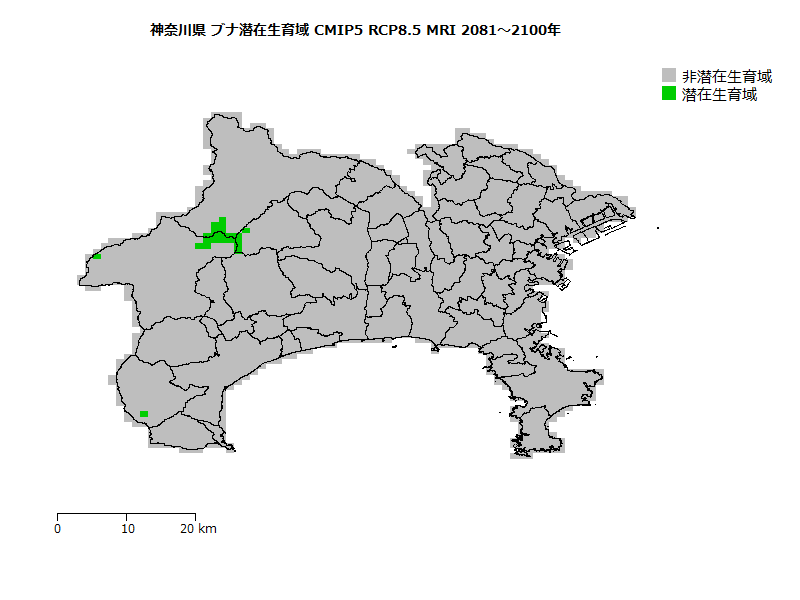 RCP8.5 地図