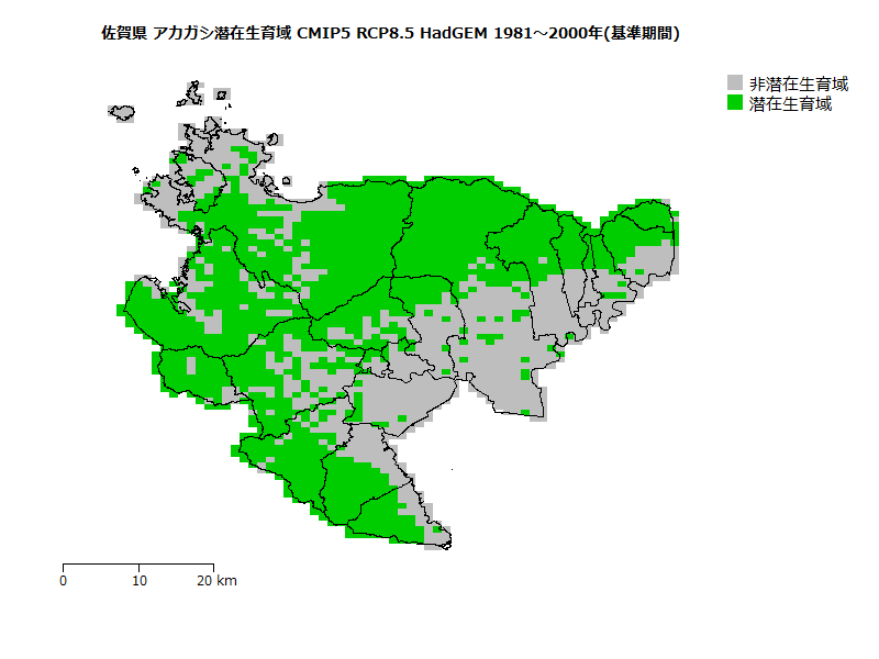 RCP8.5 地図
