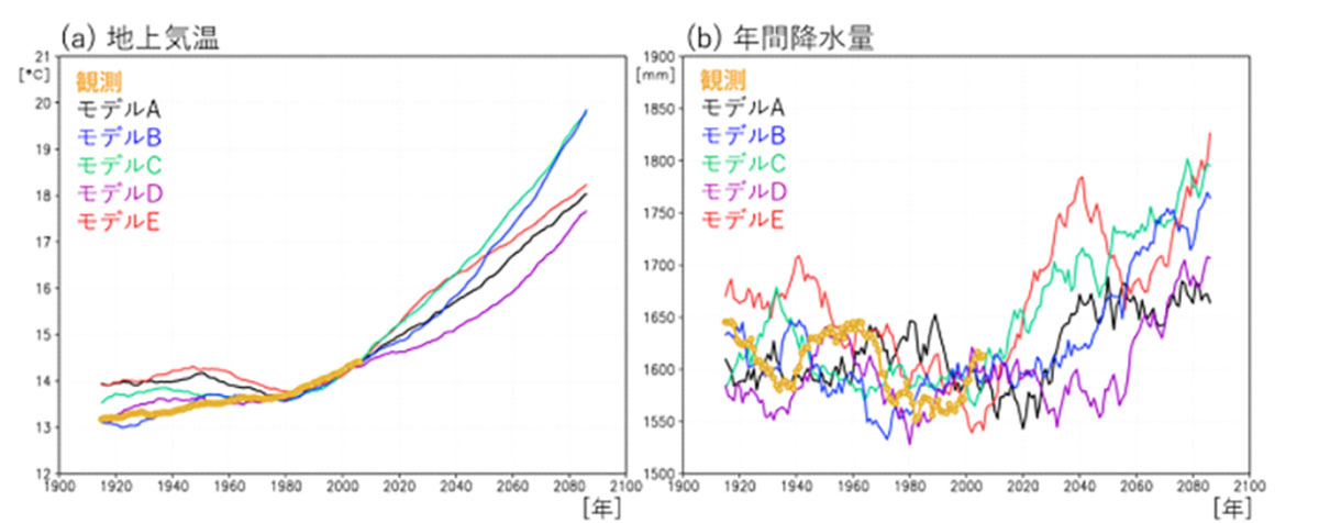 日本域における地上気温と年間降水量の時系列変化