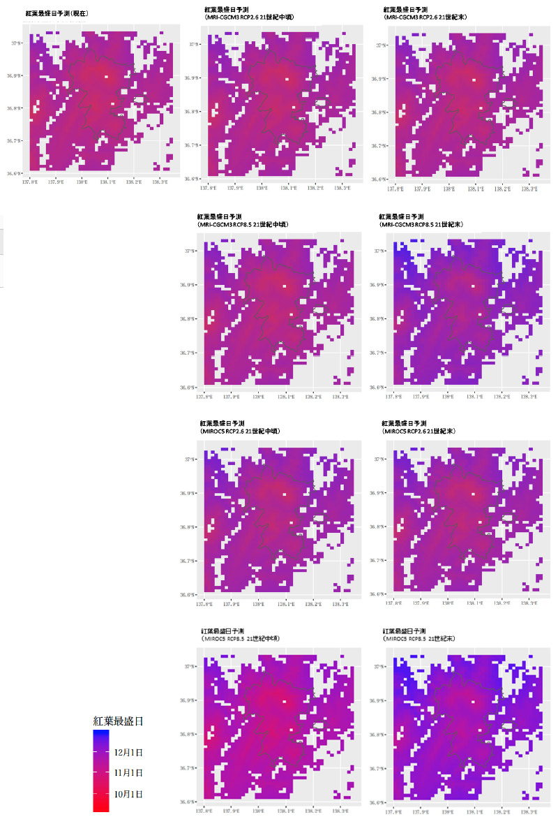 妙高戸隠におけるブナ紅葉最盛日の現在および将来変化予測マップ