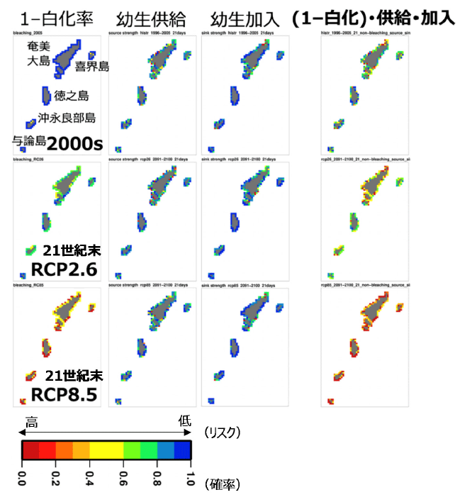 奄美群島におけるサンゴの白化、幼生供給、幼生加入の確率の積を保全適地の総合スコアとして用いた総合評価