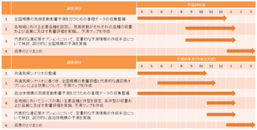 実施スケジュール（実績）