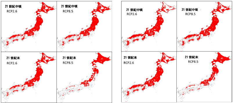 21世紀中頃および21世紀末のリンゴの適地（赤色）。左のパネルはMIROC5、右はMRI-CGCM3。