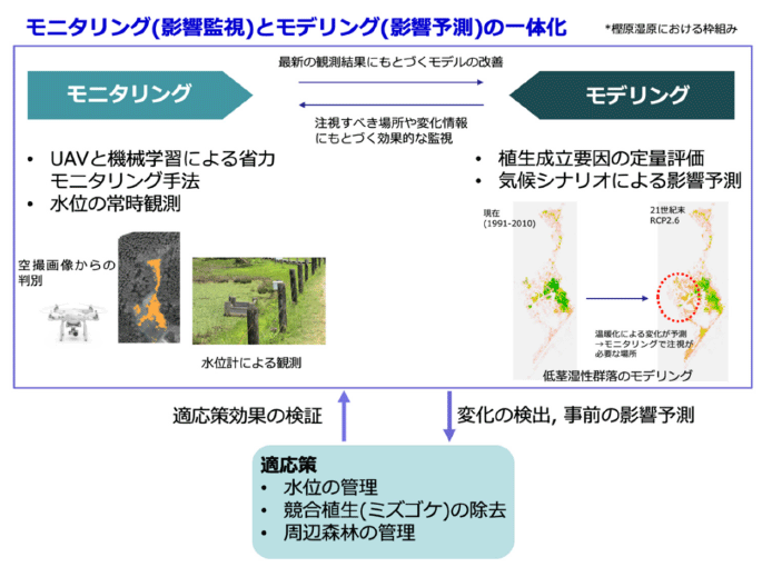 樫原湿原におけるモニタリング - モデリングの一体的な運用事例の枠組み
