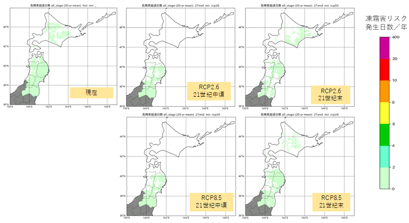 危険度0.5指標による凍霜害評価結果（MRI-CGCM3）