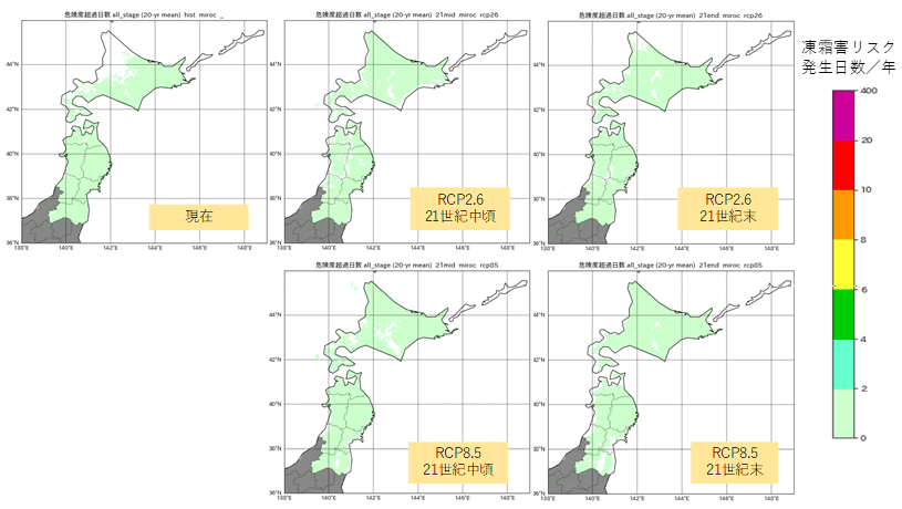 危険度0.5指標による凍霜害評価結果（MIROC5）