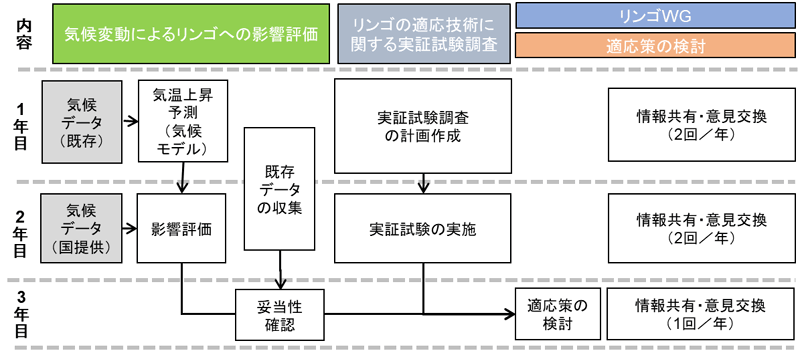 実施スケジュール