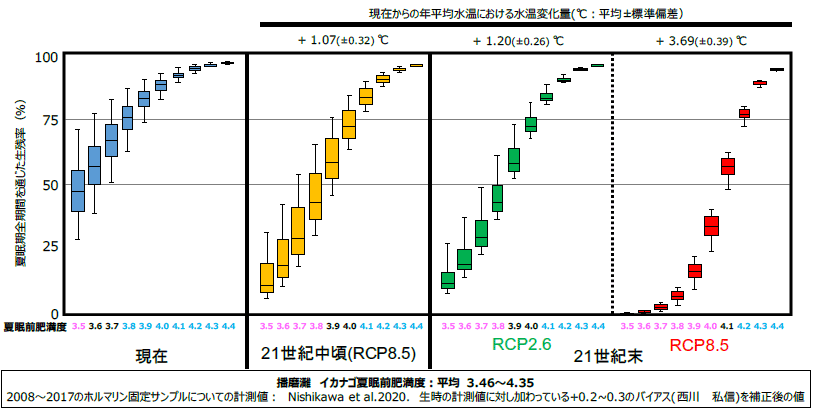 鹿ノ瀬におけるイカナゴ夏眠前肥満度と生残率の関係（MRI-CGCM3）