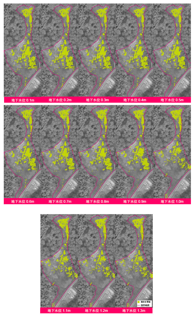 水域分布の変化に伴う生息基盤（植生）の予測結果