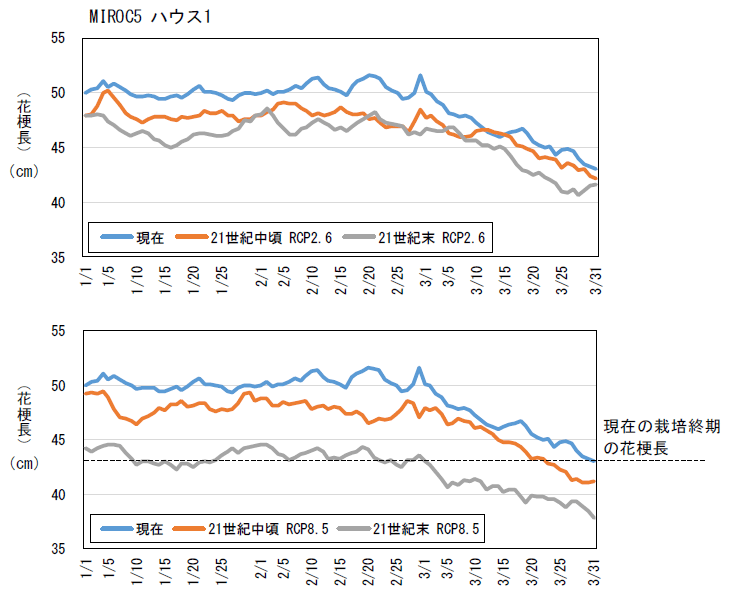 花梗長の予測結果（MIROC5、ハウス1