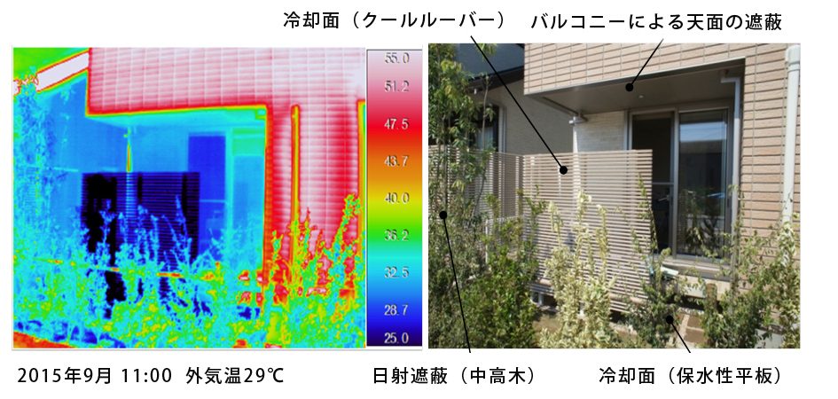 テラスの表面温度分布（左：温度、右：写真）