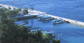 マレ島護岸のイメージ