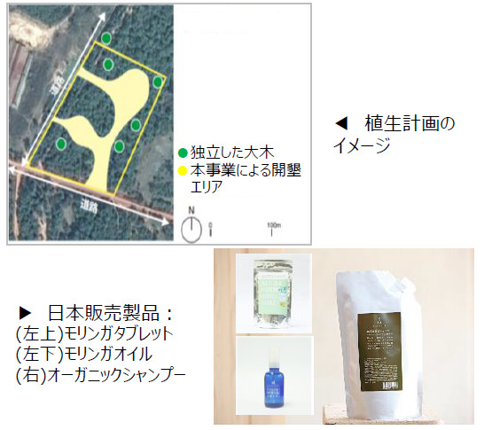 （上）植生計画のイメージ、（下）日本販売製品