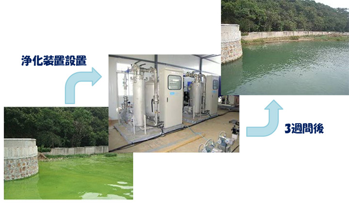 3週間にわたるアオコが発生した中国・太湖での水質浄化実証プロジェクト