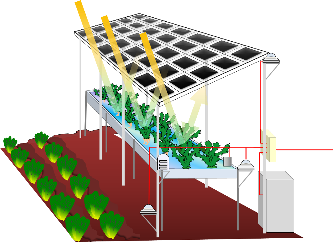 ソーラーファームのシステム構造図。農業と発電を同時に行うことができます。