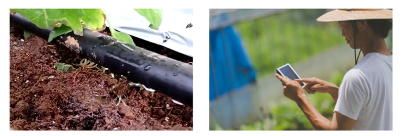 Irrigation performed with a tube (left) and confirmed and operated with a smartphone (right)