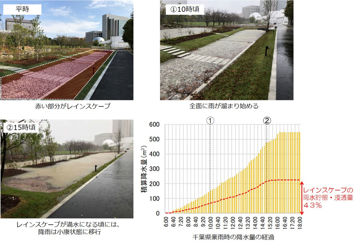 Rainscape® during heavy rainfall in Chiba Prefecture and the log of precipitation