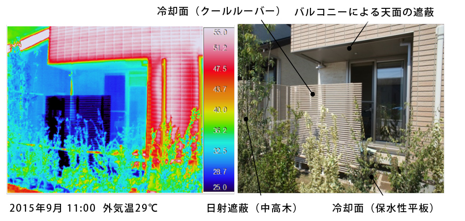 テラスの表面温度分布 