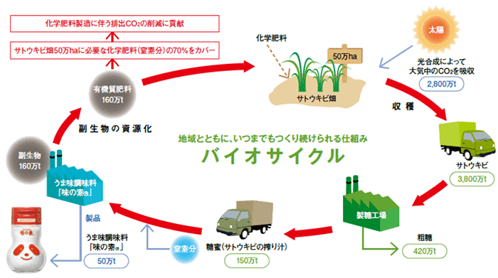 バイオサイクルの概要 
