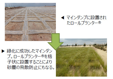 ロールプランター写真