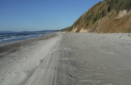 サンドパック「ジオチューブDS」設置後の様子