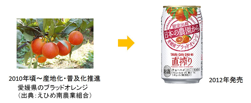 ブラッドオレンジを活用したチューハイ開発