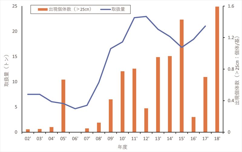 愛媛県内産キジハタ取扱量と貝殻増殖礁のキジハタ（全長25cm以上）の出現個体数の推移