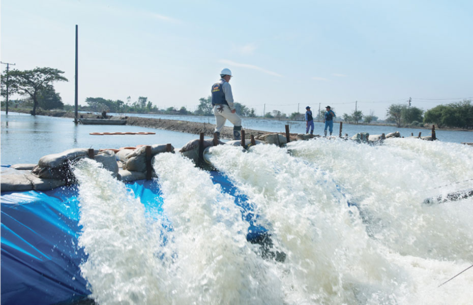 タイにおける国際緊急援助隊による排水作業
