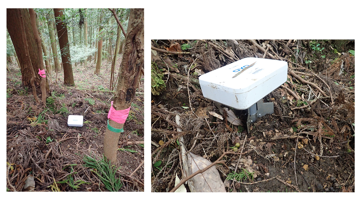 土砂災害（傾斜）センサ