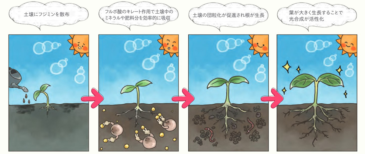 フルボ酸の効果