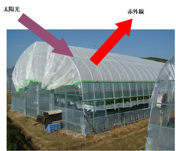 ワリフ『明涼®』の使用例