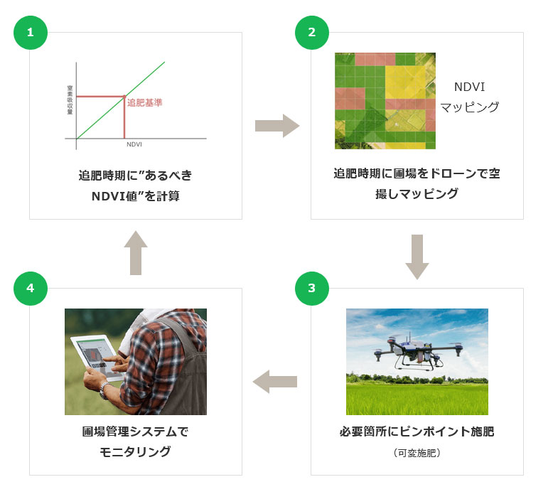 ピンポイント施肥テクノロジー