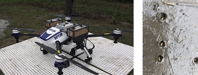 籾を搭載したドローン（左）とドローン直播により播種された水田（右）