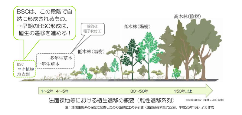 法面裸地等における植生遷移の概要