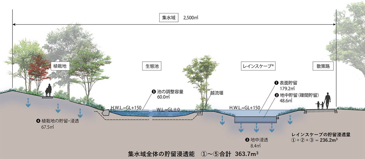 集水域全体の断面図