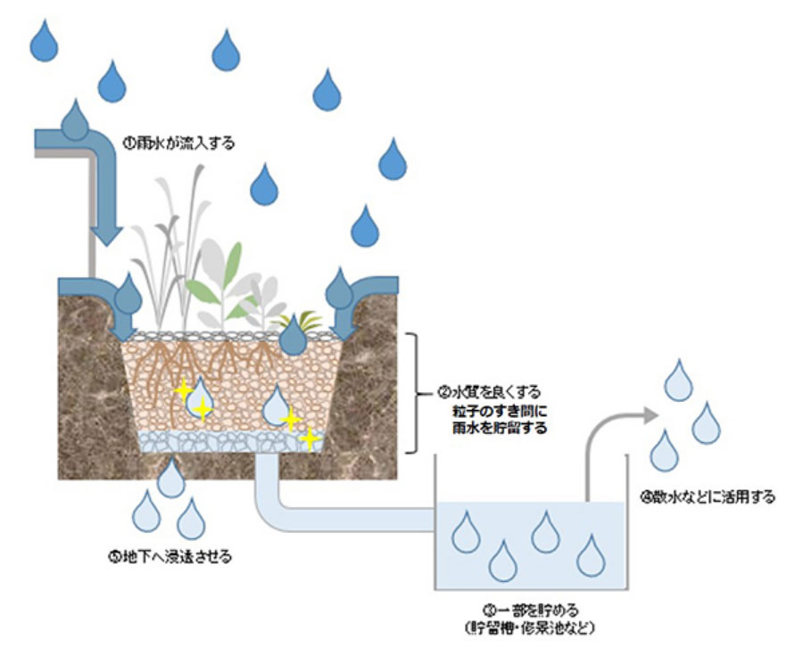 地下部のしくみ