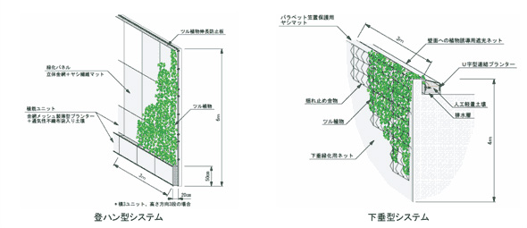 つる自慢®:登ハン型システム(左)と下垂型システム(右)