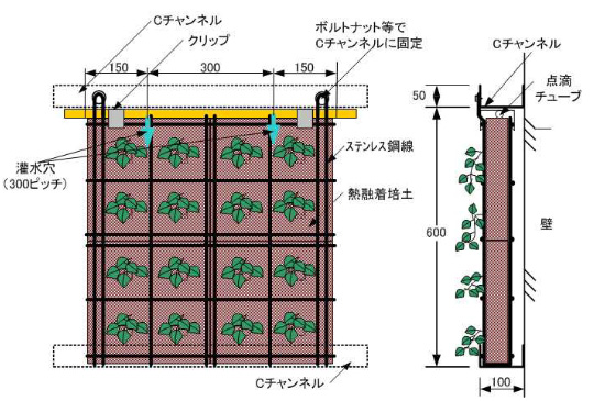 パラビエンタ®(壁面緑化):ユニット構成(60cmタイプ)