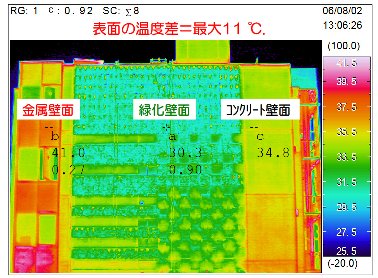 パラビエンタ®(壁面緑化):緑化壁面の熱画像例