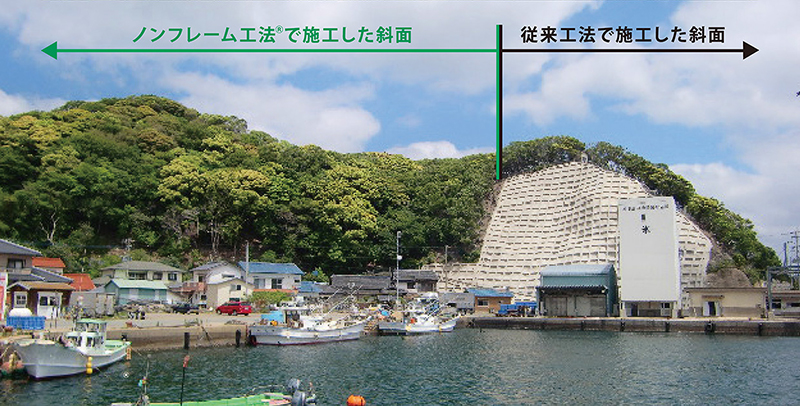 ノンフレーム工法と従来技術の施工斜面