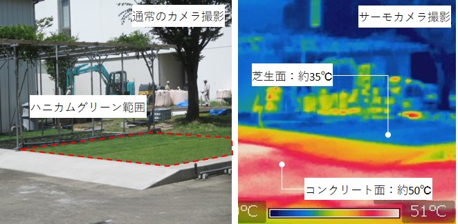 夏季における日中の地表面温度の比較
