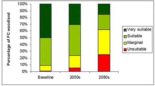 表　適応策の抽出（Responding）取りまとめ表の一部