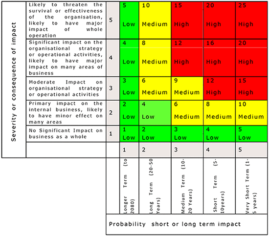 表1.　5×5評価指標（five by five matrix）の解説図 