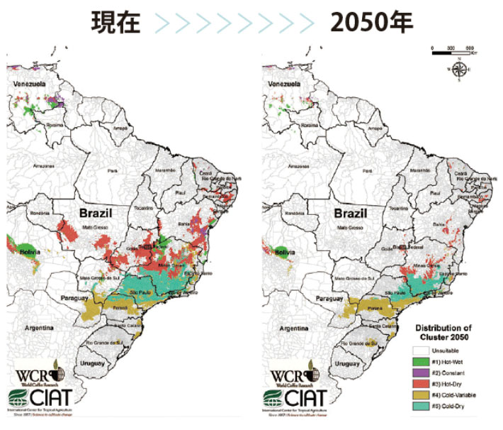 「2050年問題」のシミュレーション図(ブラジルの気候変動)