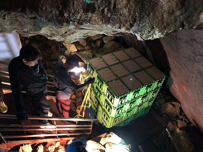 鍾乳洞内での貯蔵の様子