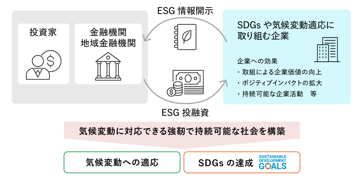 ESG投融資とSDGs・気候変動適応の関係