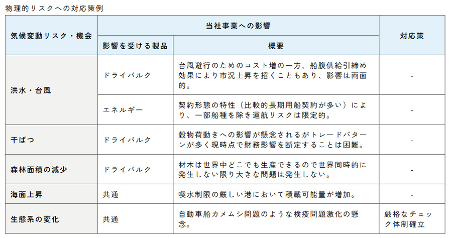 図４：物理的リスクへの対応策例