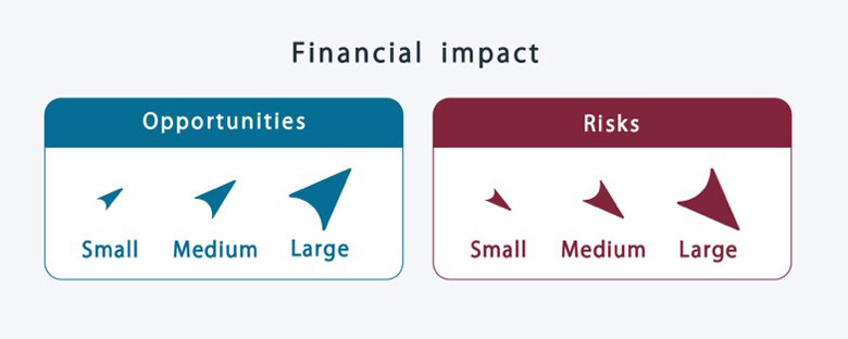 Financial Impact