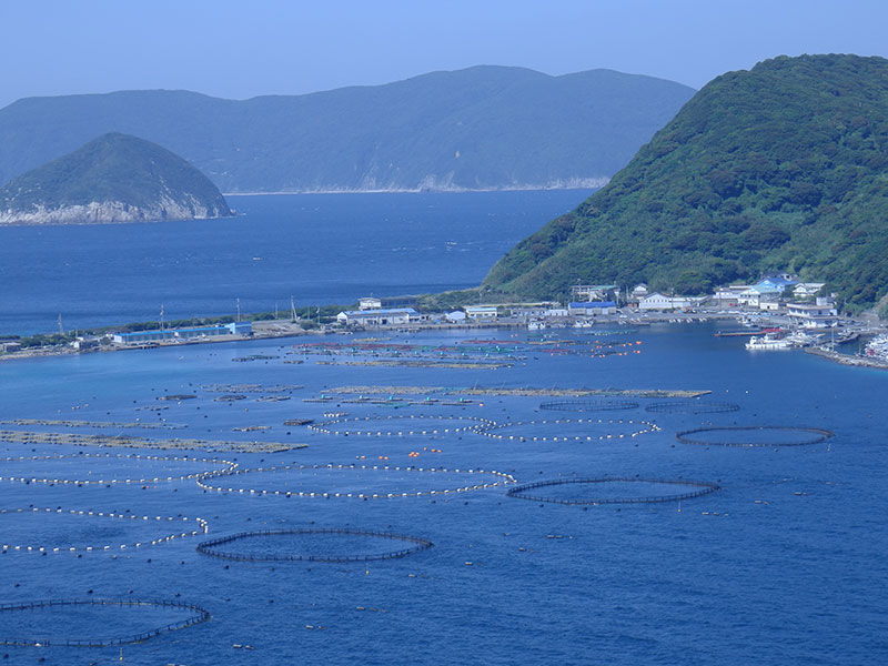 養殖